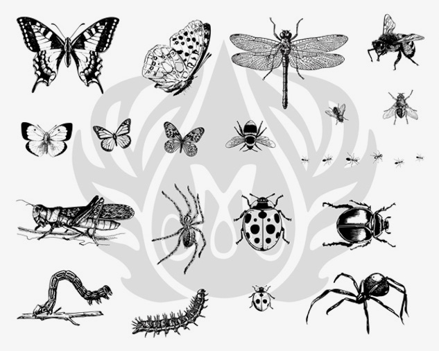Mayco Silkscreens Designer Bugs retino serigrafico insetti