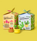 Pott'd Bundles Scherp & Zoet kit tulipani e cactus