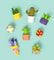 Pott'd Bundles Ultimate Greenhouse Bundle kit mini giardino ceramica