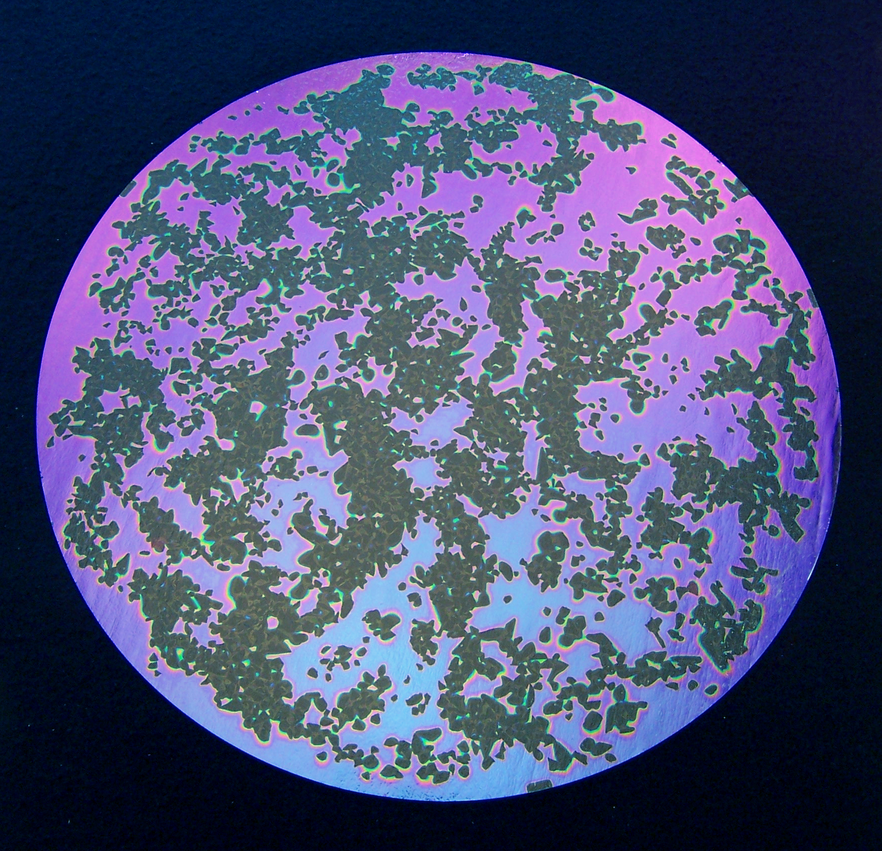 Cbs Dichroic Shop by Pattern Splatter Purple vetro dicroico viola