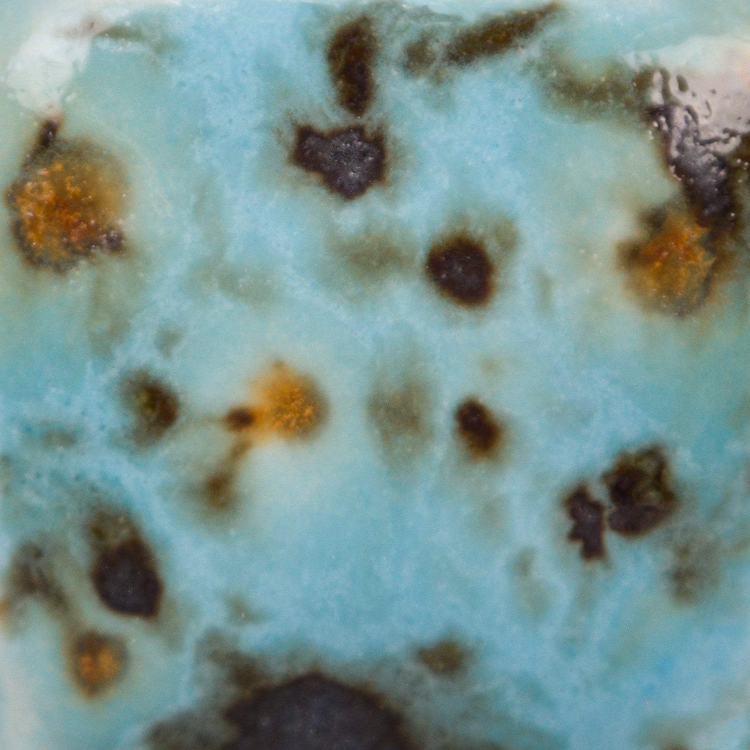 Mayco Jungle Gems Blue Guppy smalto ceramica turchese