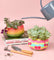 Pott'd Painting Kits Blumentopf-Set Bemalen x2 kit vasi