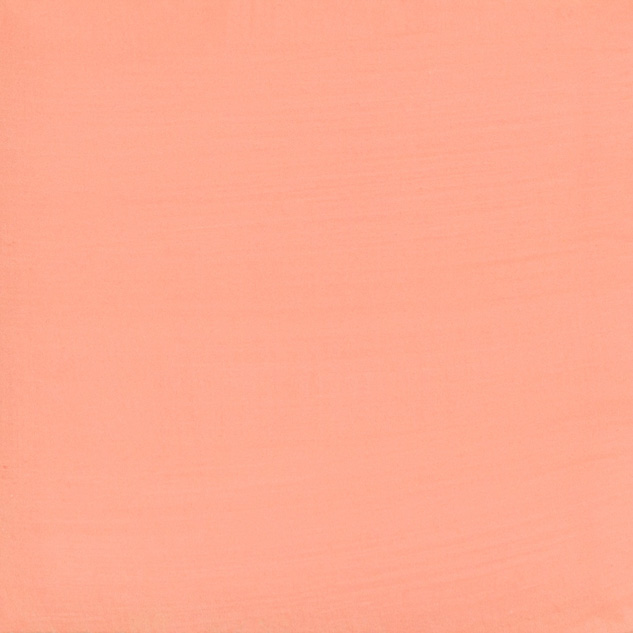 Mayco Bisq-Stain Rich Peach smalto ceramica pesca senza forno