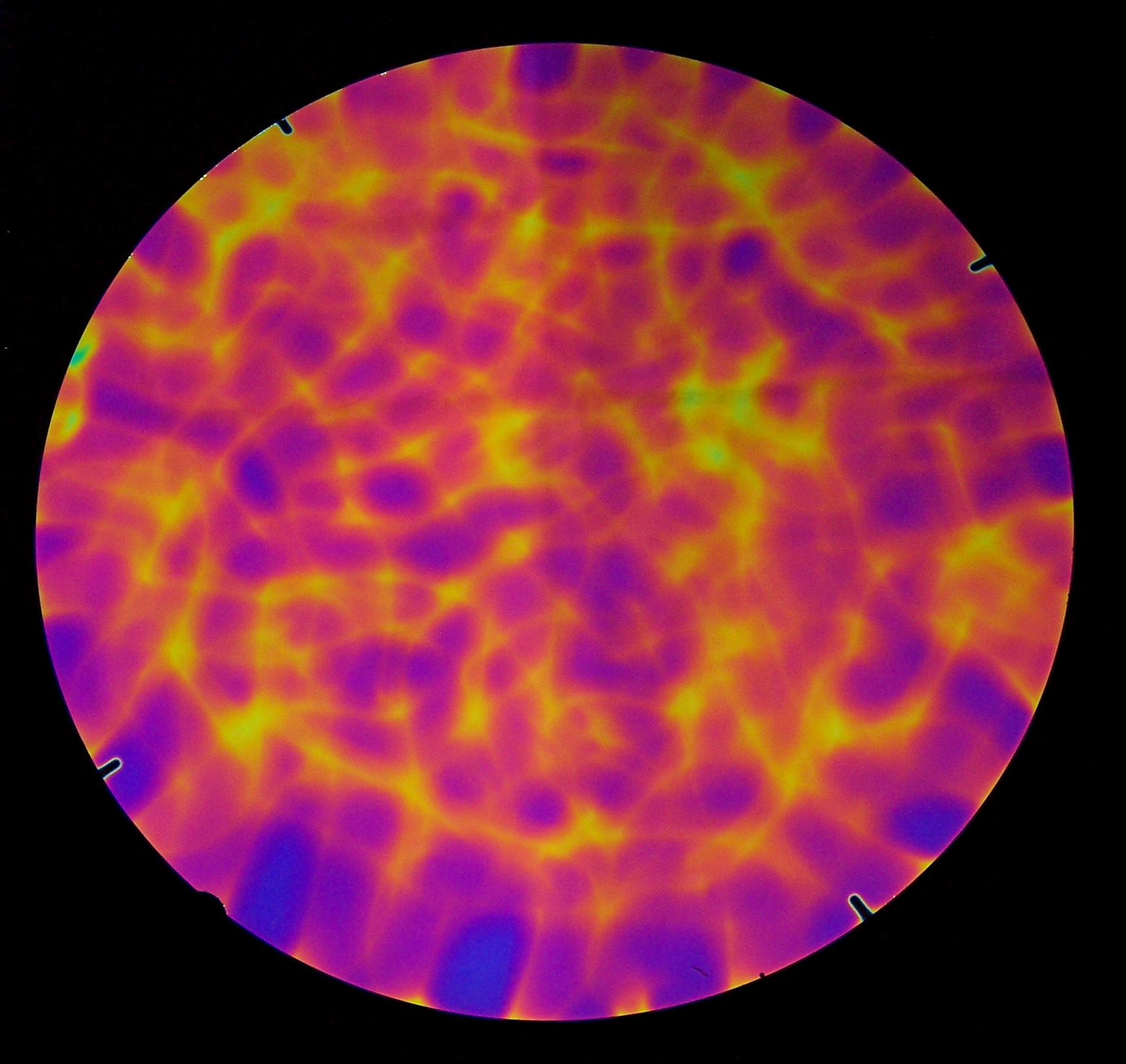Cbs Dichroic Aurora Borealis Green Magenta vetro fusione