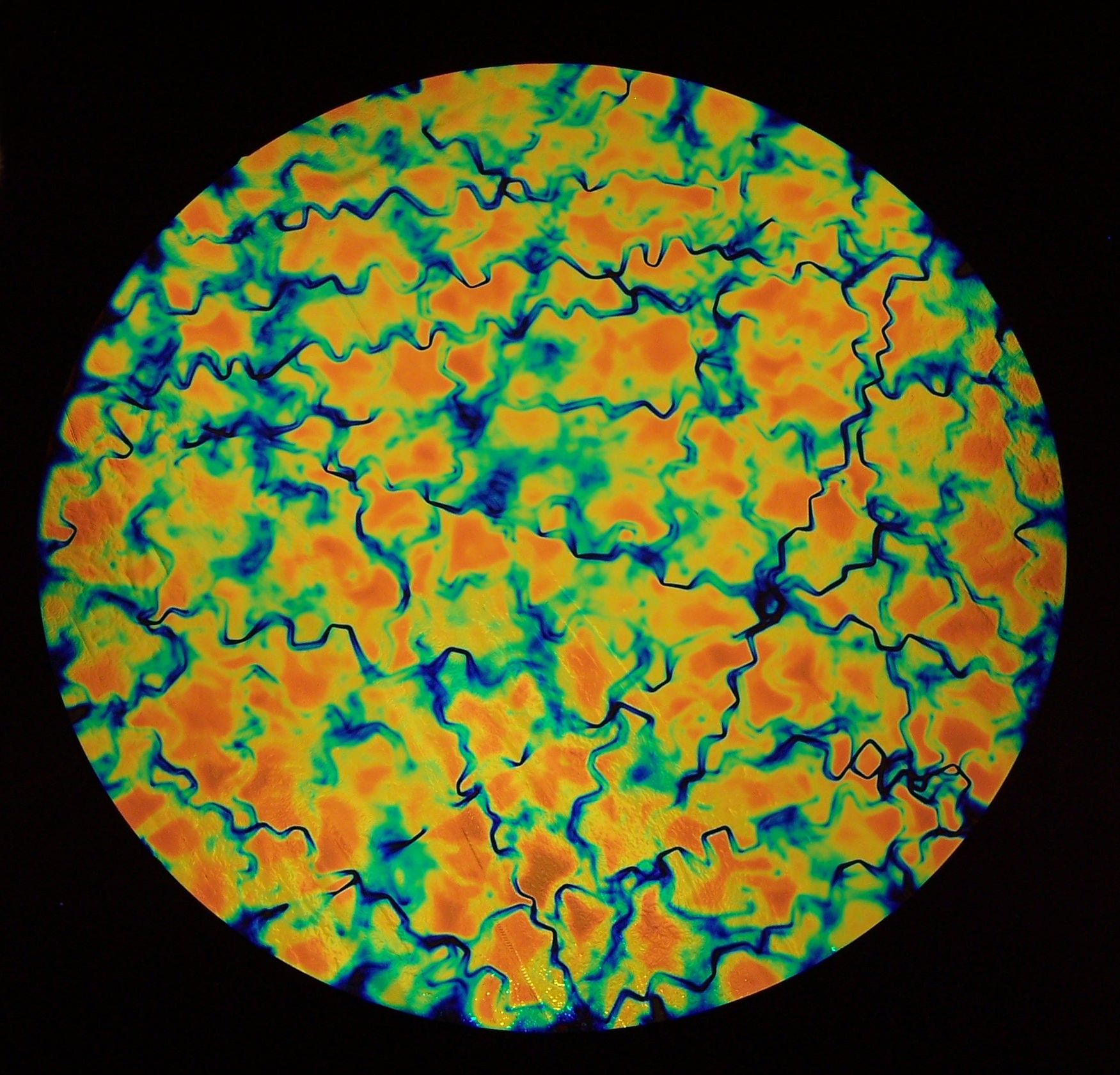 CBS Dichroic Fusion Salmon vetro dicroico fusione intenso