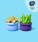 Pott'd Projects Buds & Blooms Succulents kit argilla piante grasse