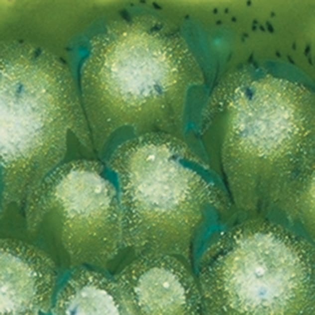 Mayco Jungle Gems Spotted Kiwi smalto ceramico verde