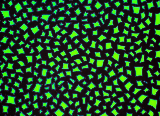Cbs Dichroic Borderline Confetti Emerald vetro dicroico quarto foglio