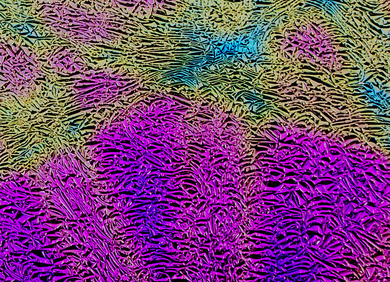 Cbs Dichroic Crinklized Pixie Stix vetro fusione verde magenta 19"