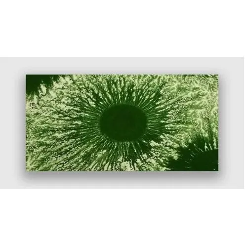 CERCO Mocha Paints MCH 303 smalto ceramico verde Mocha Green