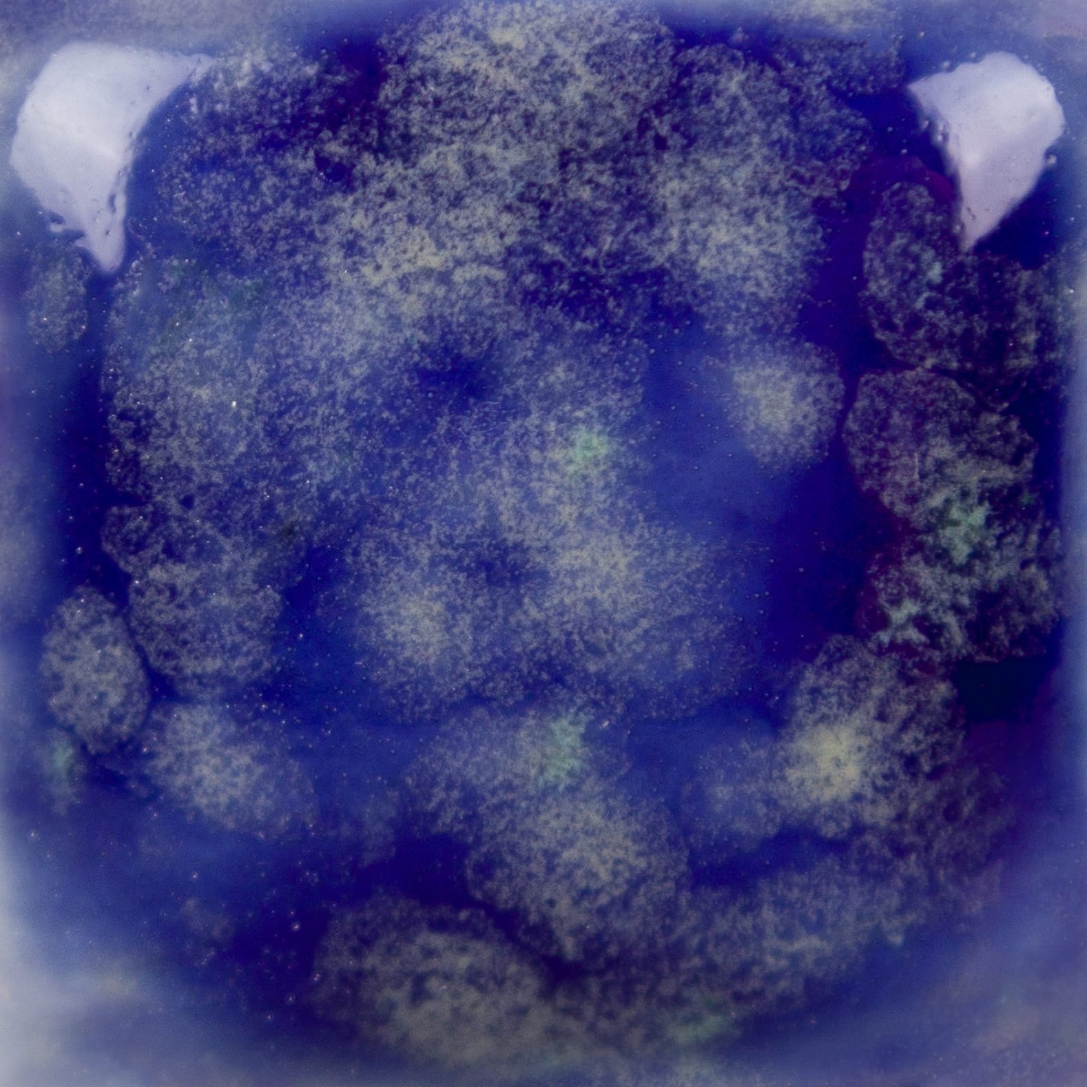 Mayco Jungle Gems Starry Night smalto blu cristalli gialli