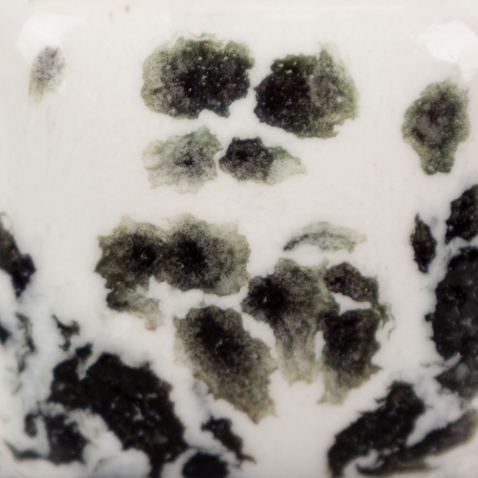 Mayco Jungle Gems Ink Spots smalto ceramica cristallino macchie