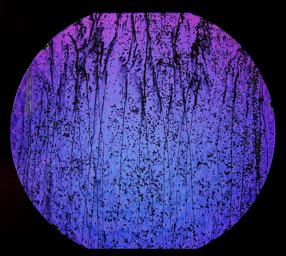 Cbs Dichroic Mardi Gras 4200 vetro Green Magenta Blue 90