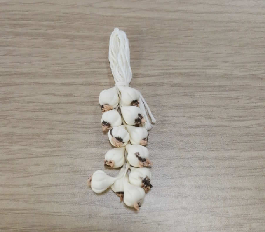 Ditta Montanini Minuterie Art CP1 Aglio 6 cm per Presepe