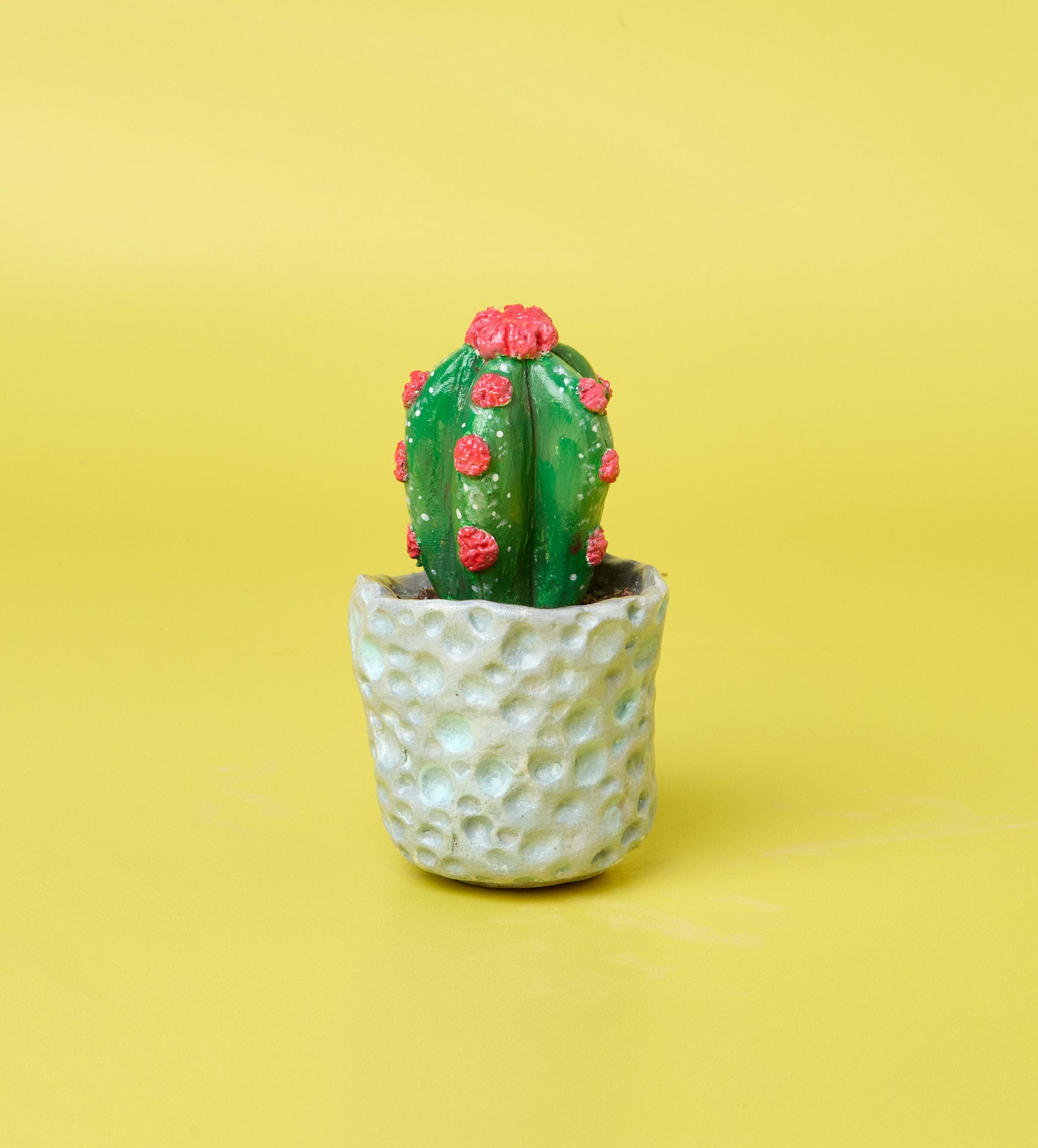 Pott'd Projects Succulent Sculptures kit argilla Garden Trio