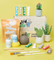 Pott'd Projects Succulente kit modellaggio piante