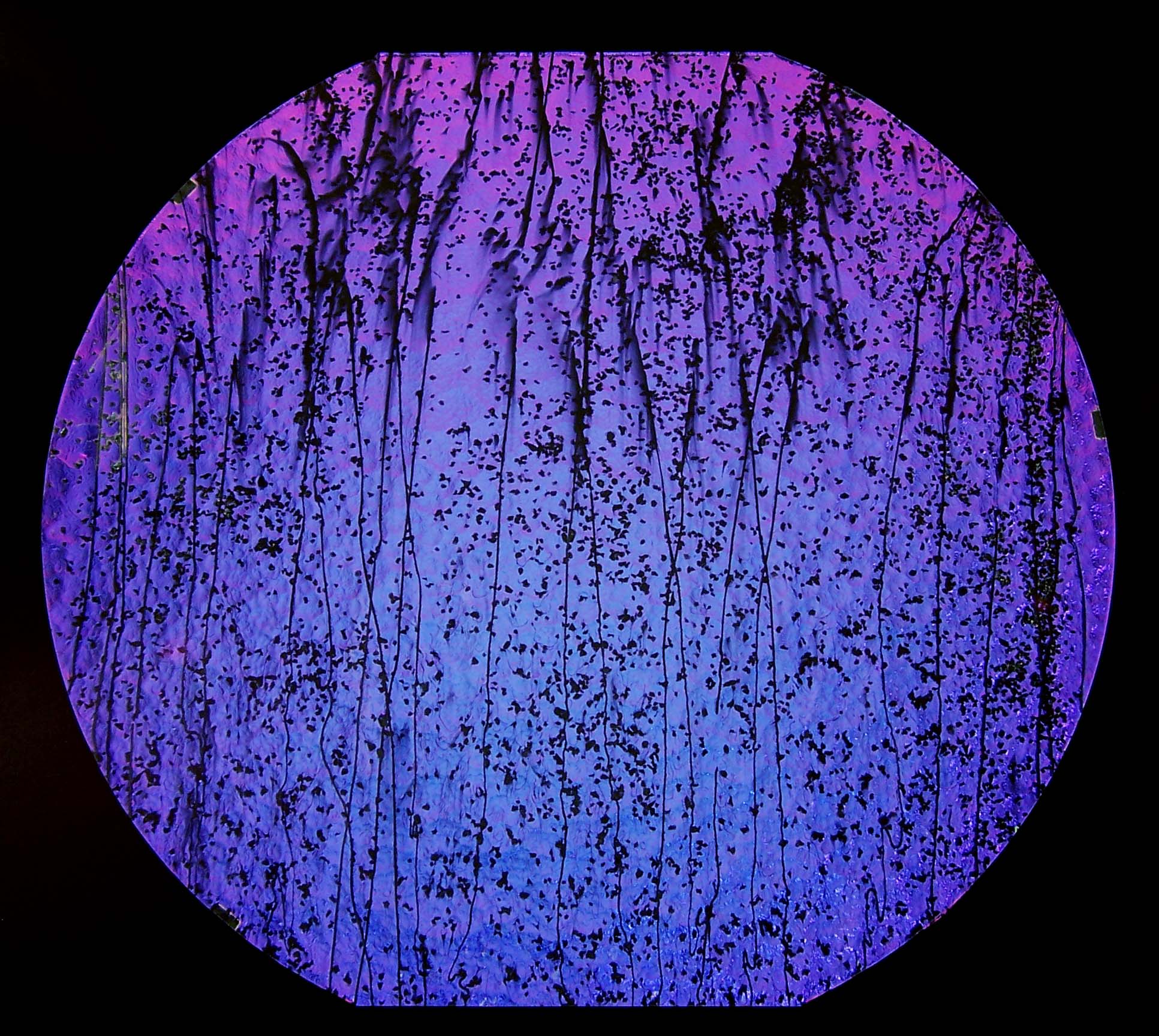Cbs Dichroic Mardi Gras 4200 vetro Green Magenta Blue 90