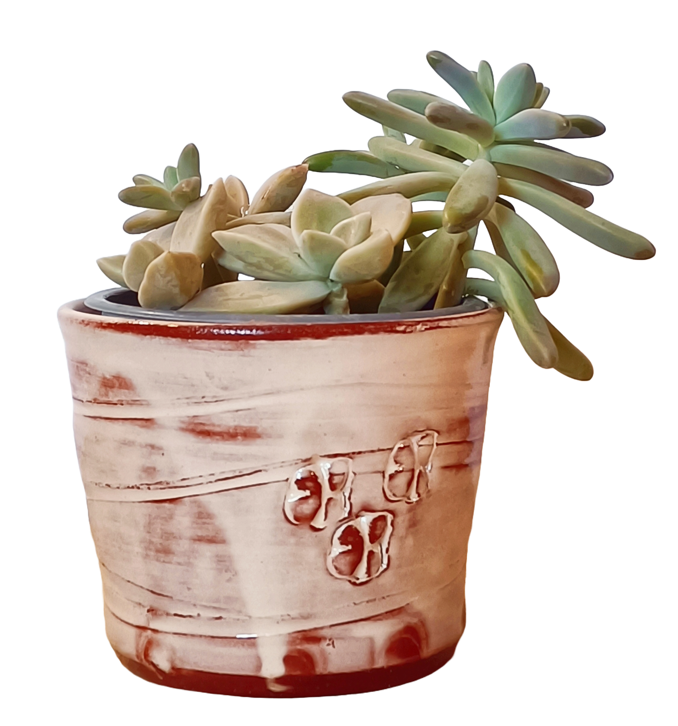 OrientéObjets Pieds Paquets cache-pot ceramica con succulenta