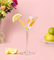 Pott'd Painting Kits kit bicchieri cocktail vetro 2 pezzi