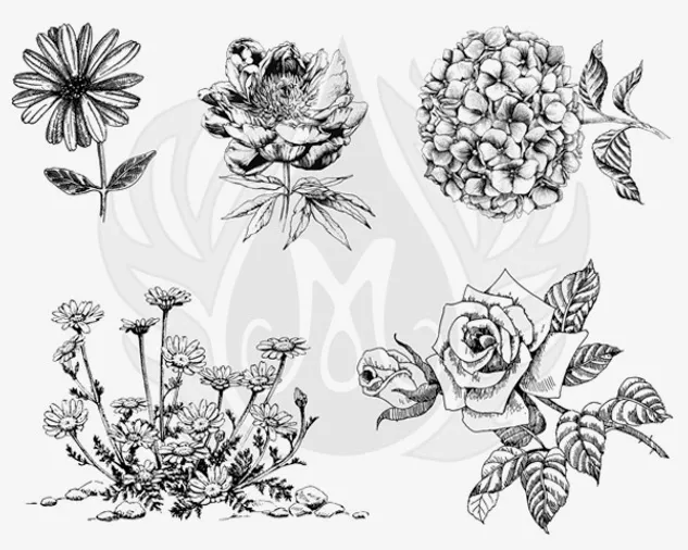Mayco Silkscreens Designer Flowers 3 XL stencil fiori